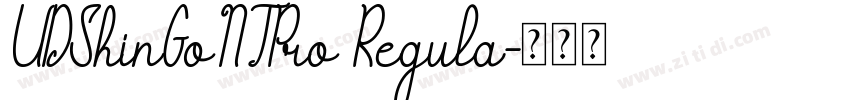 UDShinGoNTPro Regula字体转换